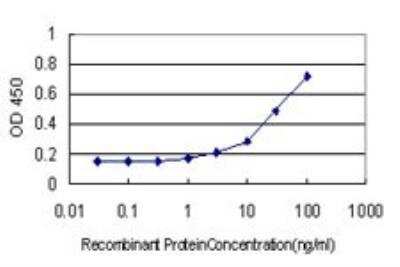 ELISA: WDR4 Antibody (1F9) [H00010785-M01]