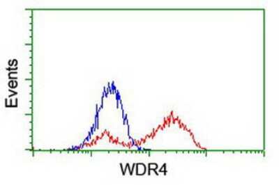 Flow Cytometry: WDR4 Antibody (OTI4G1) [NBP2-01409]