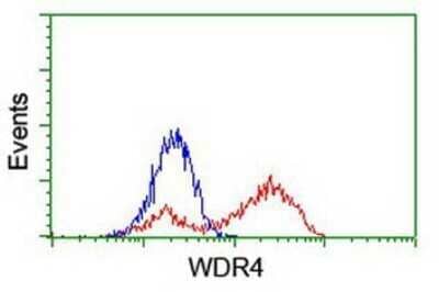 Flow Cytometry: WDR4 Antibody (OTI4G1) - Azide and BSA Free [NBP2-74865]
