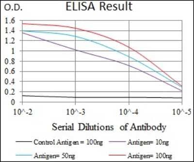 ELISA: WDR66 Antibody (2A6F7) - BSA Free [NBP2-37381]