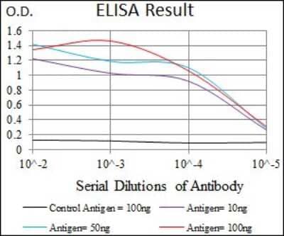 ELISA: WHSC2 Antibody (6B11H8) - BSA Free [NBP2-37394]