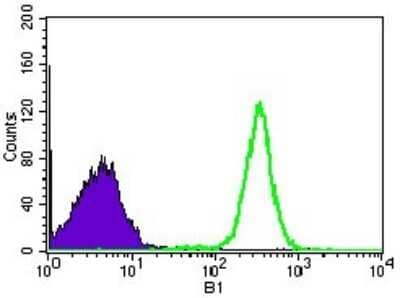Flow Cytometry: WHSC2 Antibody (6B11H8) - BSA Free [NBP2-37394]