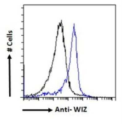 Flow Cytometry: WIZ Antibody [NBP1-21059]