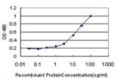 ELISA: WRN Antibody (3C11) [H00007486-M09]