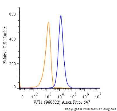 Flow Cytometry: WT1 Antibody (960522) [MAB5729]