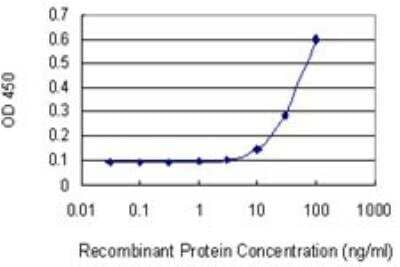 ELISA: Wnt-5a Antibody (3A4) [H00007474-M04]