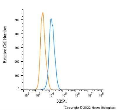 Flow Cytometry: XBP1 Antibody - BSA Free [NBP1-77681]
