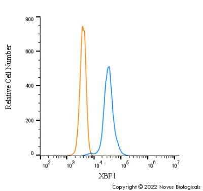 Flow Cytometry: XBP1 Antibody - BSA Free [NBP1-77681]