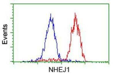 Flow Cytometry: XLF Antibody (OTI3D6) [NBP2-03275]