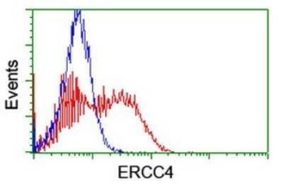 Flow Cytometry: XPF Antibody (OTI3H7) [NBP2-45503]