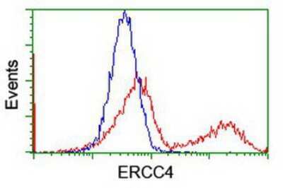 Flow Cytometry: XPF Antibody (OTI4E11) [NBP2-01020]