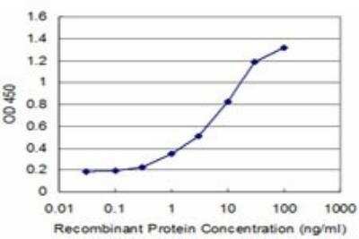 ELISA: XRCC2 Antibody (2H4) [H00007516-M01]