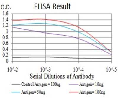 ELISA: XRN2 Antibody (7C5B10) - BSA Free [NBP2-61846]