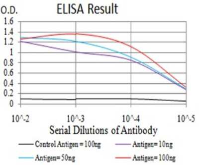 ELISA: XRN2 Antibody (9F7G11) - BSA Free [NBP2-61839]