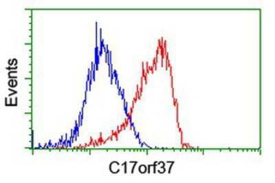 Flow Cytometry: XTP4 Antibody (OTI1E8) [NBP2-01976]