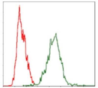 Flow Cytometry: YAP1 Antibody (1A12) - Azide and BSA Free [NBP2-81014]