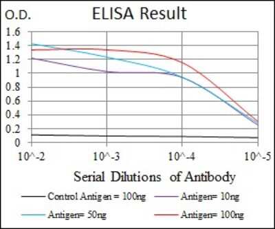 ELISA: YAP1 Antibody (1A12) - BSA Free [NBP2-22117]