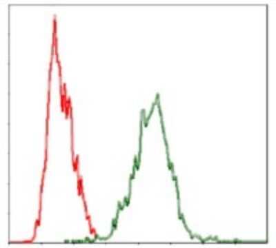 Flow Cytometry: YAP1 Antibody (1A12) - BSA Free [NBP2-22117]