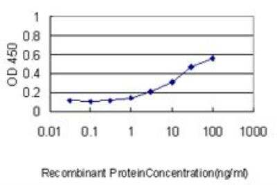 ELISA: YB1 Antibody (4F12) [H00004904-M01]