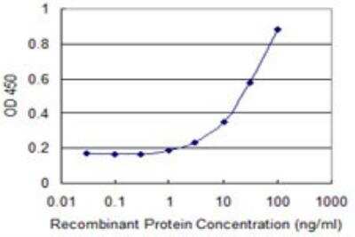 ELISA: YSK4 Antibody (2A4) [H00080122-M01]