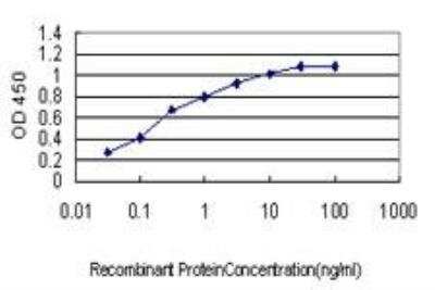 ELISA: YY1 Antibody (4D2) [H00007528-M03]