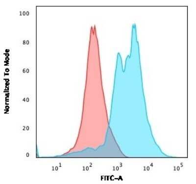 Flow Cytometry: ZAP70 Antibody (2F3.2) - Azide and BSA Free [NBP2-47774]