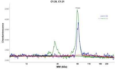 Simple Western: ZAP70 Antibody (2F3.2)Azide and BSA Free [NBP2-47774]