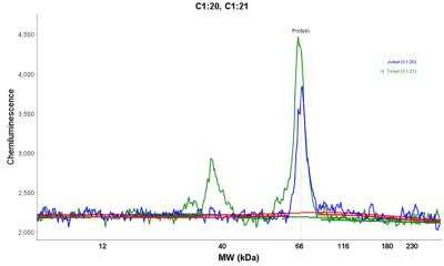 Simple Western: ZAP70 Antibody (2F3.2) [NBP2-44502]