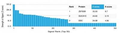 Protein Array: ZBTB39 Antibody (PCRP-ZBTB39-1A11)Azide and BSA Free [NBP3-08799]