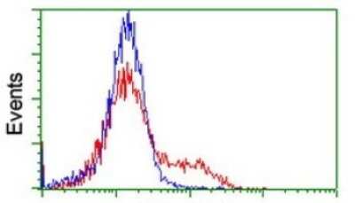 Flow Cytometry: CGI 62 Antibody (OTI4C1) [NBP2-45700]