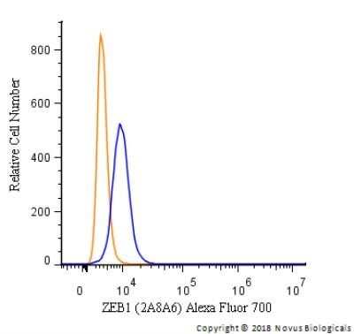 Flow Cytometry: ZEB1 Antibody (2A8A6) - Azide and BSA Free [NBP2-81015]