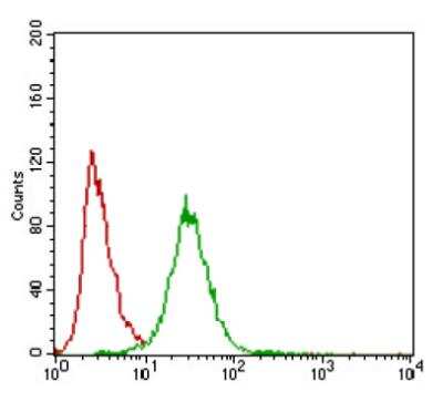 Flow Cytometry: ZEB1 Antibody (2A8A6) - BSA Free [NBP2-23484]