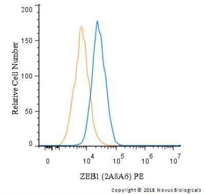 Flow Cytometry: ZEB1 Antibody (2A8A6) - BSA Free [NBP2-23484]
