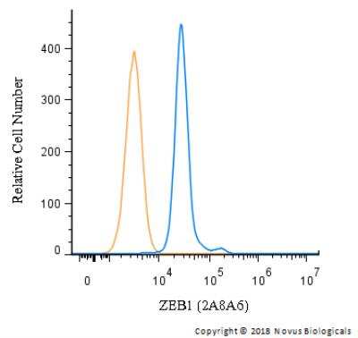 Flow Cytometry: ZEB1 Antibody (2A8A6) - BSA Free [NBP2-23484]