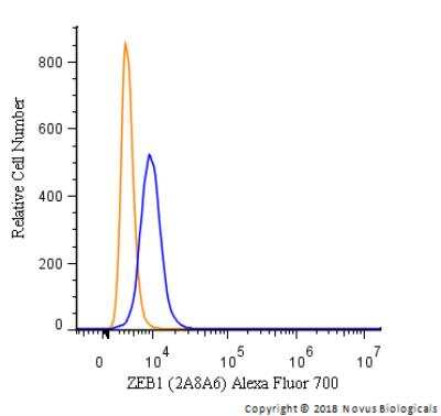 Flow Cytometry: ZEB1 Antibody (2A8A6) - BSA Free [NBP2-23484]