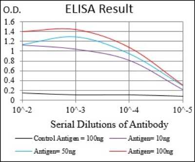 ELISA: ZEB1 Antibody (2A8H3) - BSA Free [NBP2-37329]