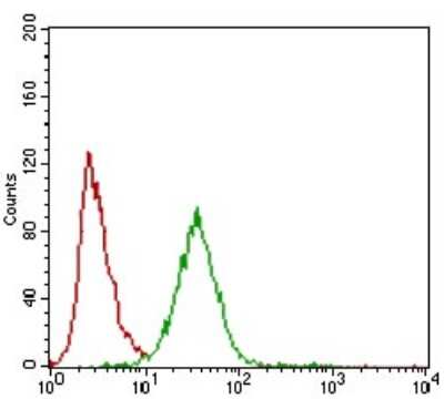 Flow Cytometry: ZEB1 Antibody (2A8H3) - BSA Free [NBP2-37329]