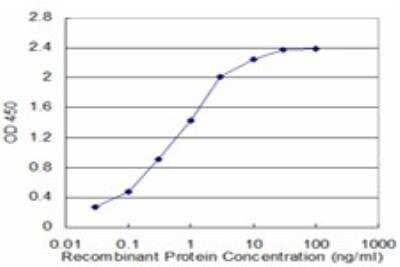 ELISA: ZFHX4 Antibody (5E6) [H00079776-M02]