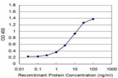 ELISA: ZBTB14 Antibody (4F7) [H00007541-M02]