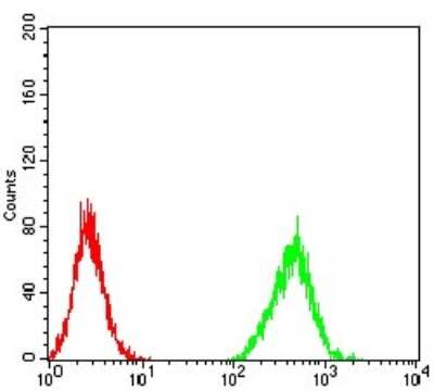 ELISA: ZFP91 Antibody (8C3D5) - BSA Free [NBP2-61847]