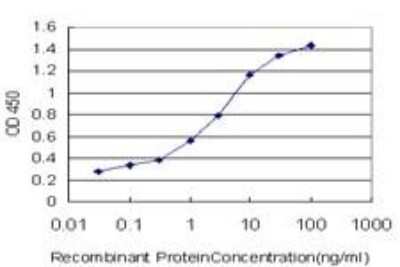 ELISA: ZIC3 Antibody (2C1) [H00007547-M05]