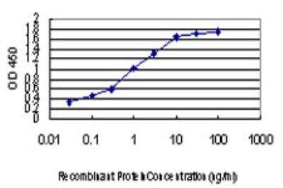 ELISA: ZIC4 Antibody (1A9) [H00084107-M05]
