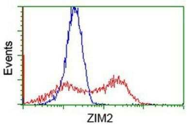 Flow Cytometry: ZIM2 Antibody (OTI7G1) [NBP2-03325]