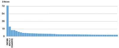 Protein Array: ZMYM3 Antibody (C.15200016) [NBP2-59244]
