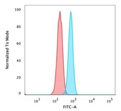 Flow Cytometry: ZMYM3 Antibody (PCRP-ZMYM3-2F10) [NBP3-07551]