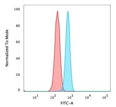 Flow Cytometry: ZMYM3 Antibody (PCRP-ZMYM3-2F10) - Azide and BSA Free [NBP3-08875]