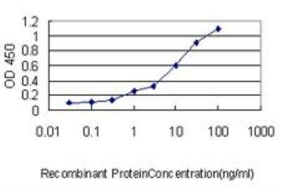 ELISA: ZNF143 Antibody (2B4) [H00007702-M01]