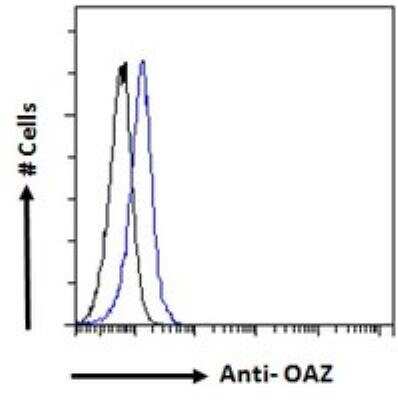 Flow Cytometry: ZNF423 Antibody [NBP2-76351]