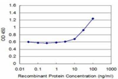 ELISA: ZNF76 Antibody (3D4) [H00007629-M06]