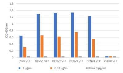 ELISA: Zika Virus VLP Antibody (IG3-1-A12-G9) [NBP3-14850]